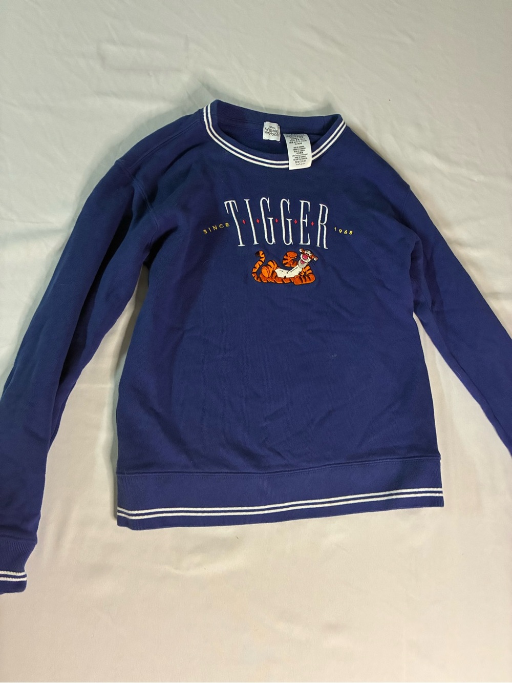 Youth Large Disney Parks Tiger Pullover Sweatshirt